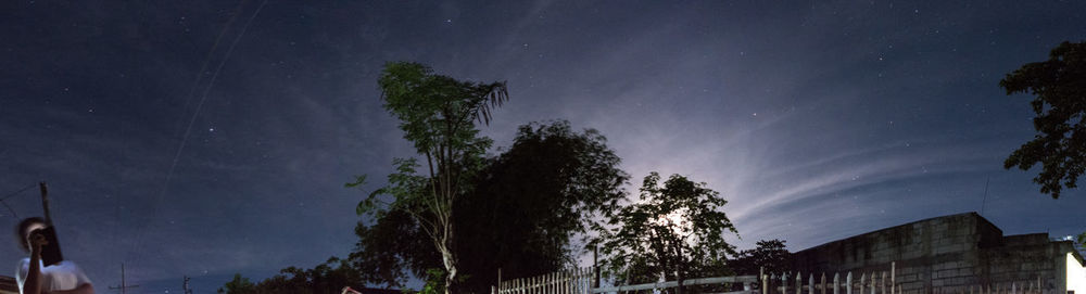 Low angle view of trees against sky at night