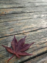 High angle view of maple leaf on wooden plank