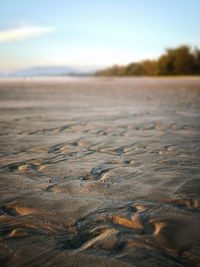 Surface level of sand on beach against sky