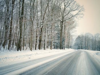 Snow covered road amidst trees during winter