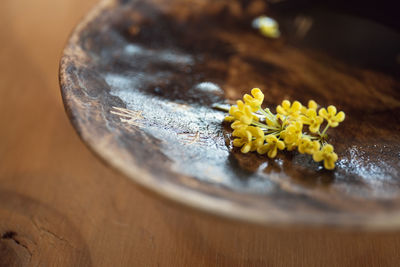 Close-up of yellow rose on table