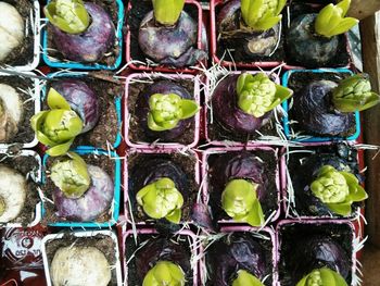 Full frame shot of market stall for sale