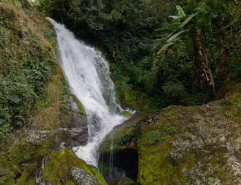 Scenic view of waterfall in forest