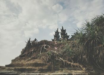 Palm trees by sea against sky