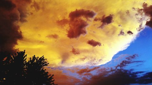 Low angle view of silhouette trees against sky