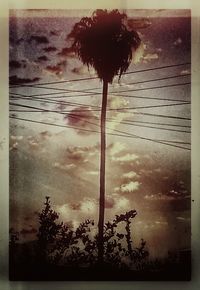 Low angle view of trees against cloudy sky