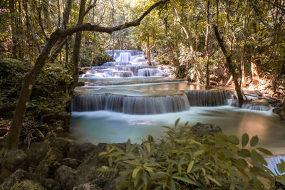 Scenic view of waterfall in forest