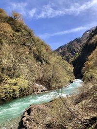 Scenic view of river amidst trees against sky