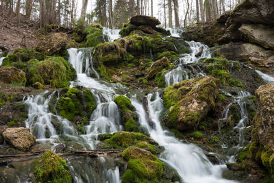 Scenic view of waterfall in forest