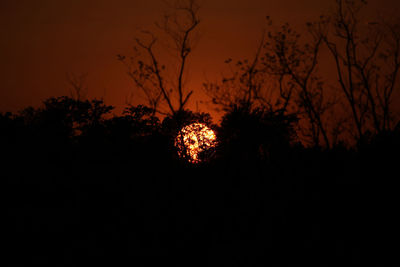 Low angle view of silhouette trees against sky at sunset