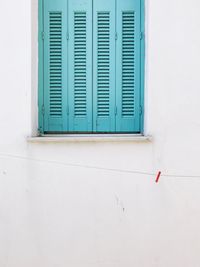 Window on door
