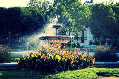 Fountain in park