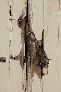 Close-up of weathered wall