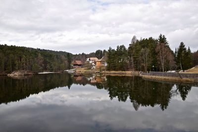 Reflection of trees in water