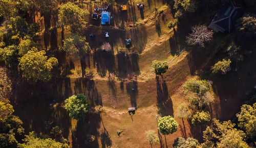 High angle view of plants against trees