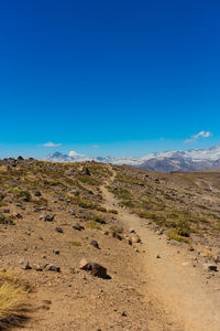 Scenic view of landscape against clear blue sky
