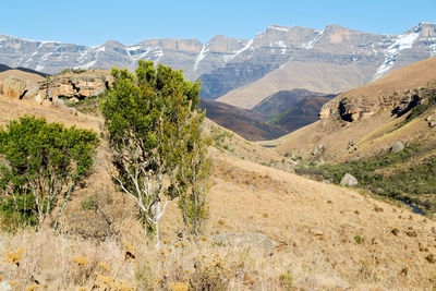 Scenic view of landscape and mountains against sky