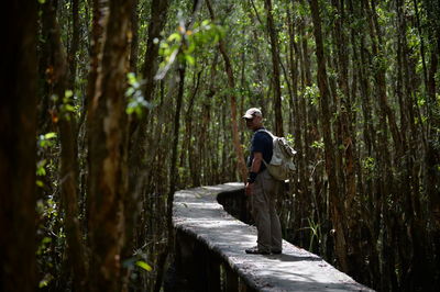 Side view of man walking on footbridge in forest