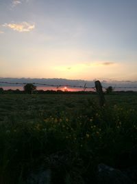Scenic view of field against sky during sunset