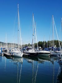 Sailboats moored in marina