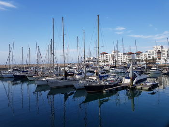 Sailboats moored in harbor