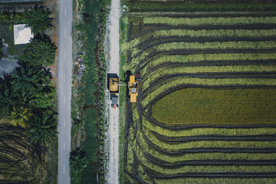 Scenic view of agricultural field