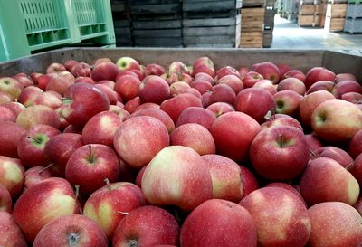 Full frame shot of apples in market