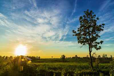 Scenic view of field against sky during sunset