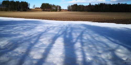 Shadow of trees on snow covered field