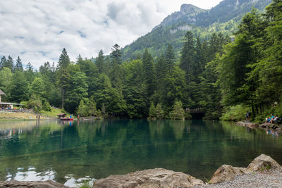 Scenic view of lake by trees against sky