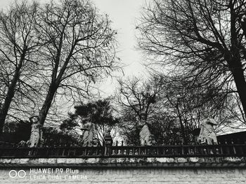 Bare trees by building against sky