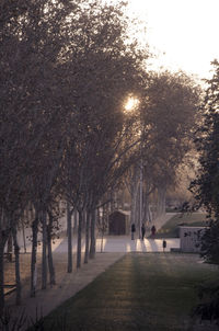 View of trees in winter