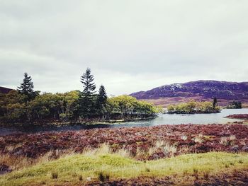 Scenic view of field by lake against sky