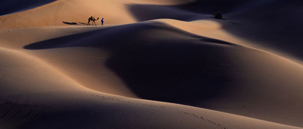 Person with camel walking on desert