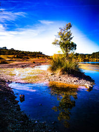 Scenic view of lake against blue sky