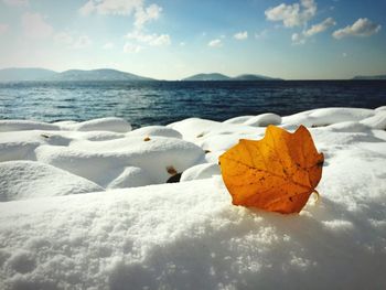 Dry leaf on snowcapped rock formation against sea