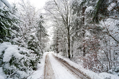 Snow covered road amidst trees in forest