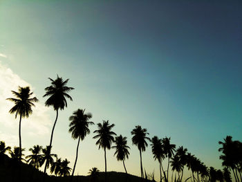 Low angle view of silhouette palm trees against clear sky