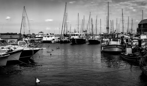 Sailboats moored at harbor