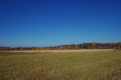 Scenic view of field against clear blue sky