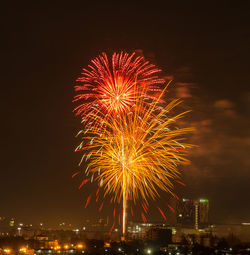 Firework display at night