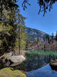 Scenic view of lake by trees against sky