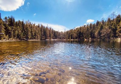 Scenic view of lake in forest against sky