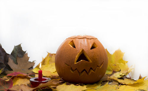 Close-up of pumpkin on stone against white background