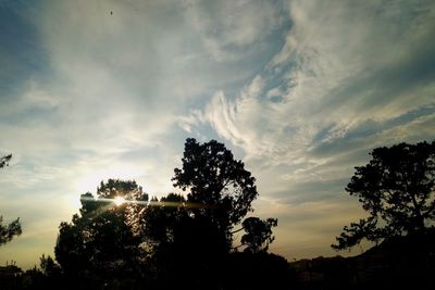 Low angle view of silhouette trees against sky during sunset