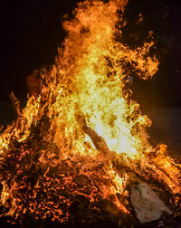 bonfire