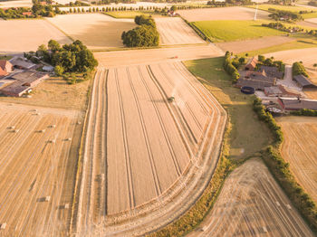 Aerial view of agricultural field