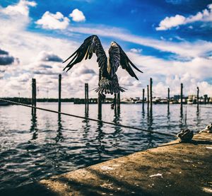 Bird flying over river against sky