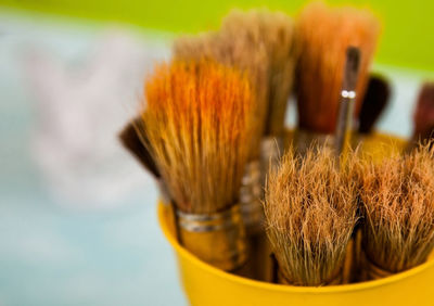 Paint brushes in the glass with green natural background