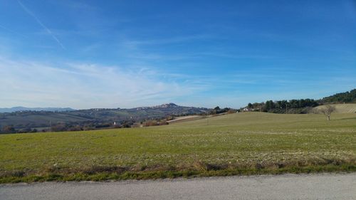 Scenic view of vineyard against blue sky